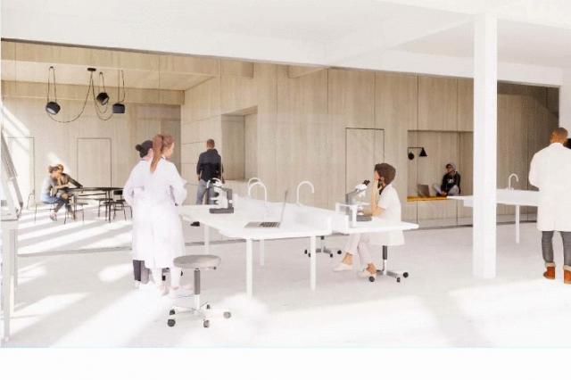 Architect's vision4