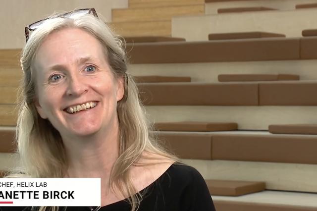 Anette Birck