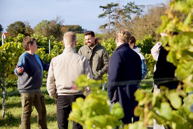 Fellows in the wineyard