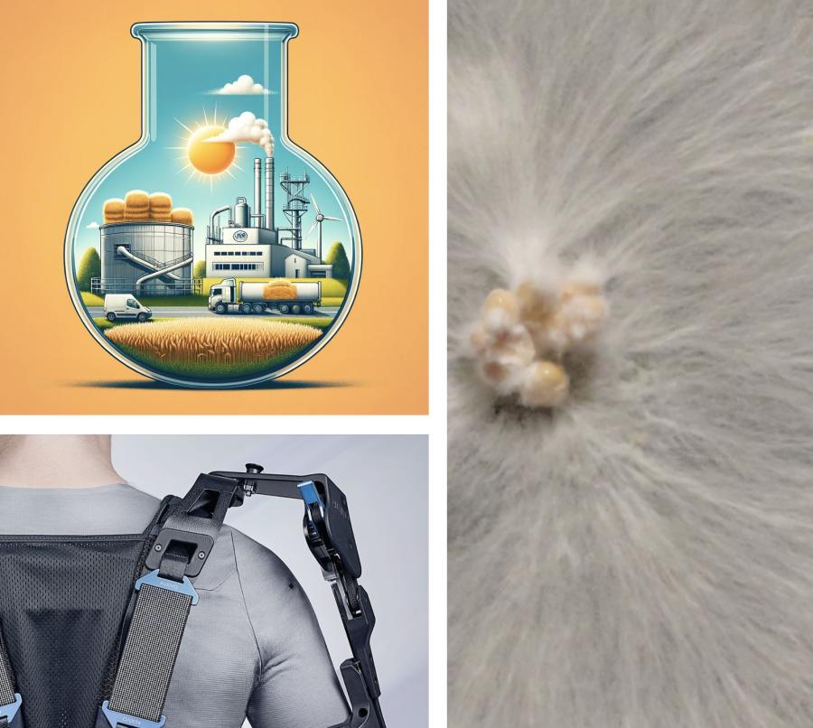 Three Tech Talks Spring 2024